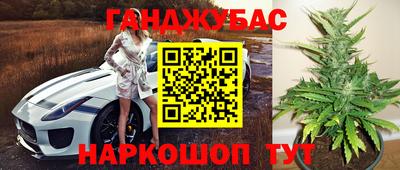 амф Можга