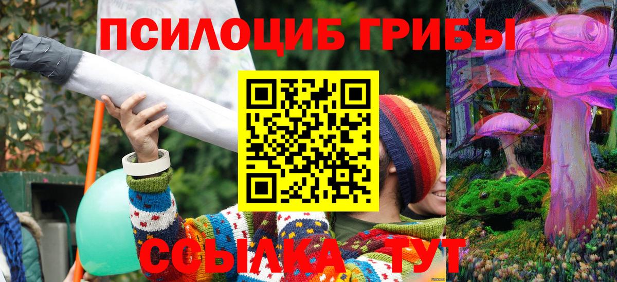 Чусовой  Псилоцибиновые грибы MAGIC MUSHROOMS  Вход с VPN 