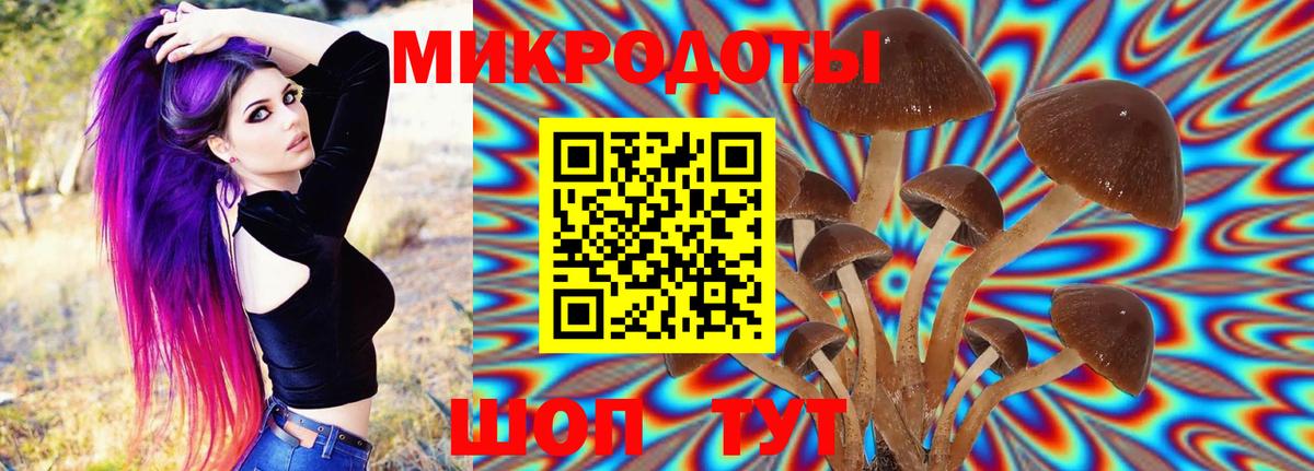 Галлюциногенные грибы Psilocybine cubensis Чусовой